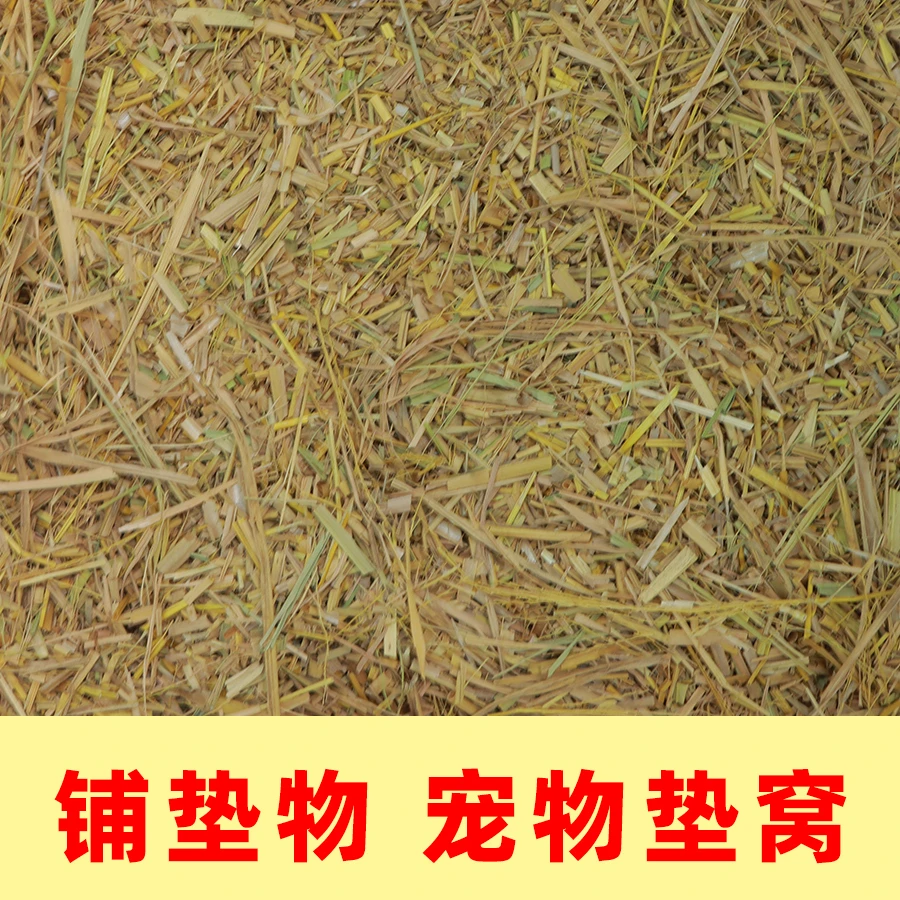 稻草碎末天然干草宠物垫窝草干稻草牛羊猪料狗鸭窝草道具谷草秸秆