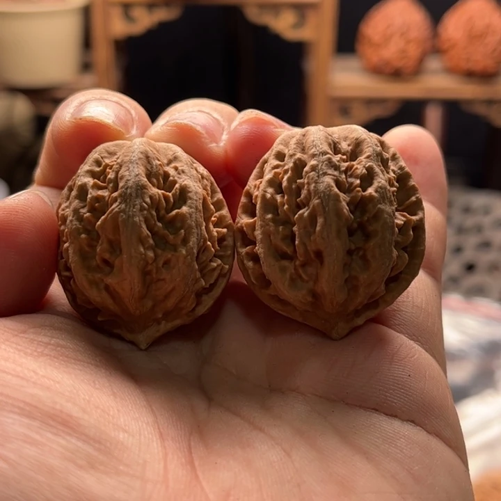 文玩核桃把件楸大胖50