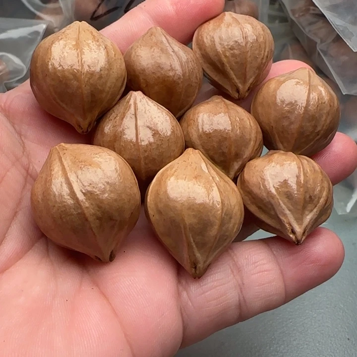 手串橄榄核橄榄核原皮铁核四花2.4