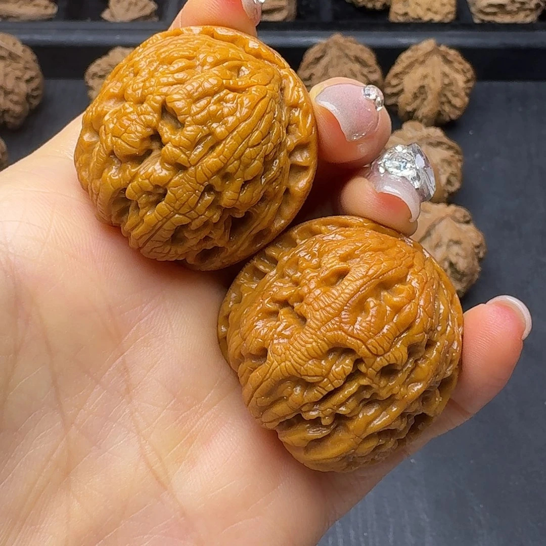 桃木突突突突突突突