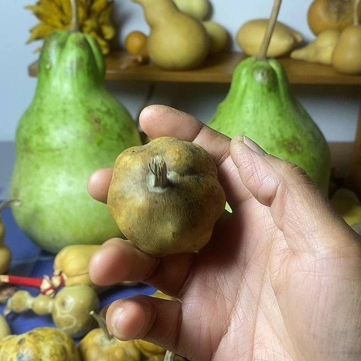 咕***猫嘎达葫芦手把件花皮