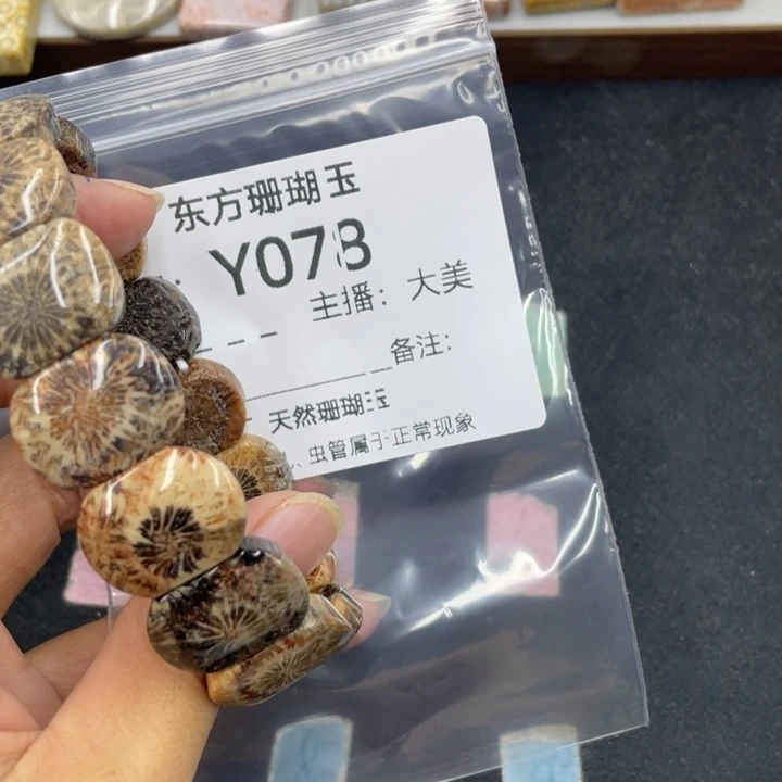 行***水硅化珊瑚（珊瑚玉）合金颈饰