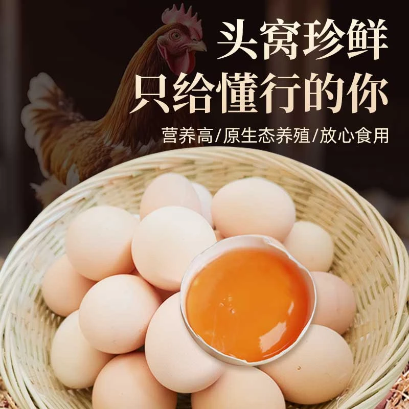 【初生蛋】正宗散养走地鸡谷物喂养营养健康高蛋白新鲜土鸡蛋45~50g