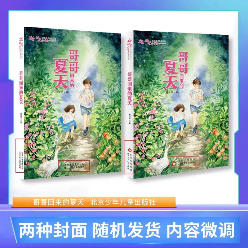 时光小书房  哥哥回来的夏天 曹文芳