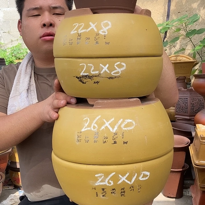 花盆紫砂这样我就可以了一起