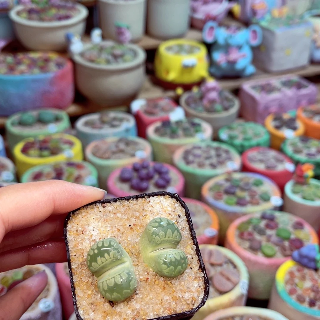 172。8888888888888888