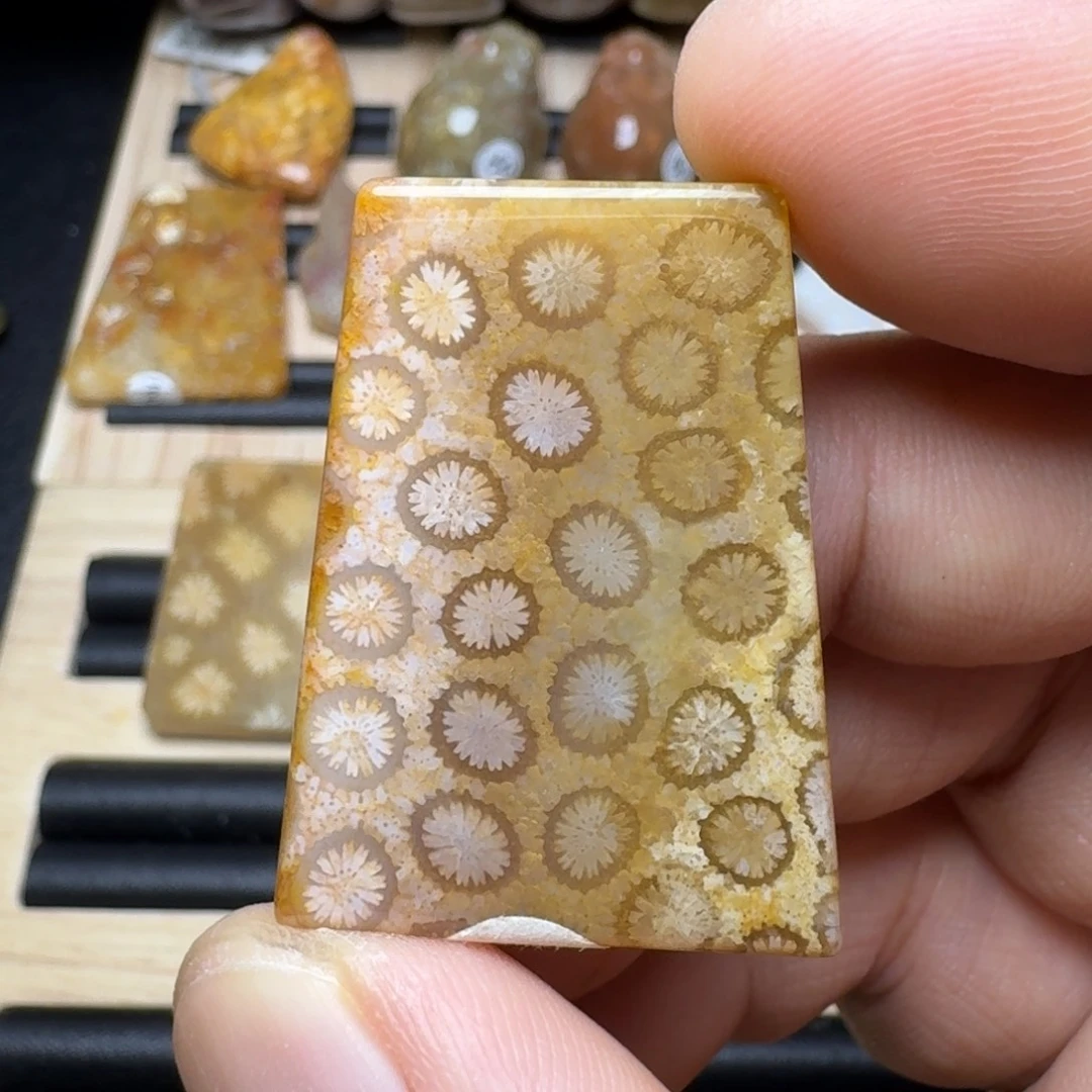 未镶嵌纯天然色有机玉石保真色硅化玉