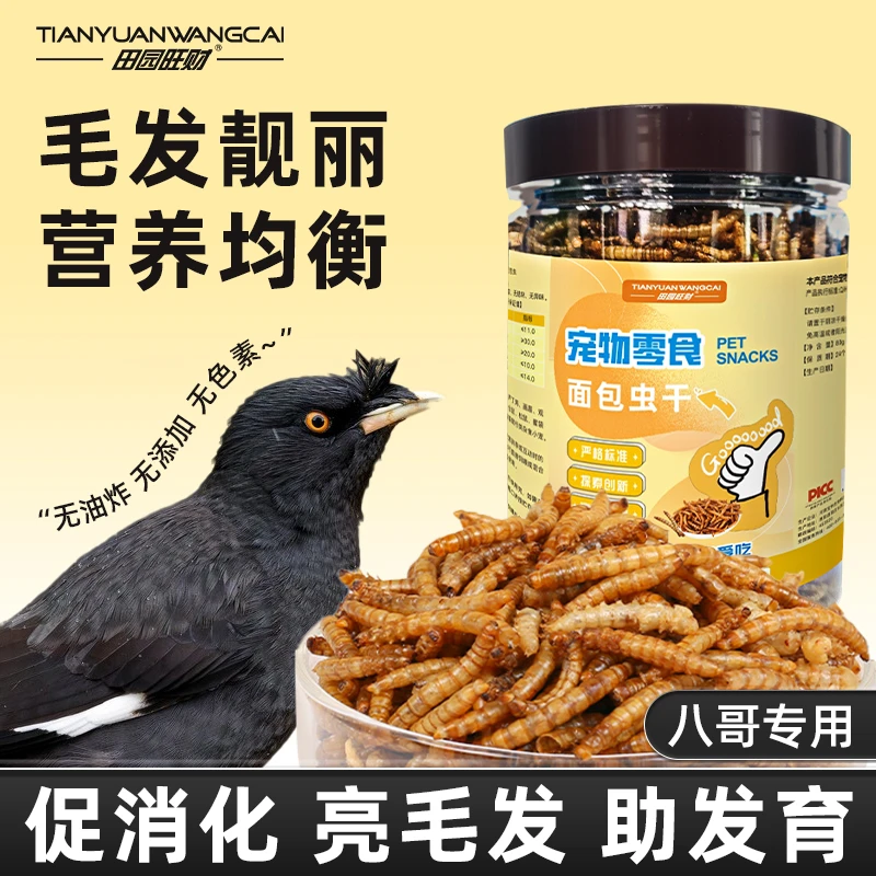 八哥适用面包虫干黄粉虫干高蛋白饲料互动零食无盐活体饲料替代品