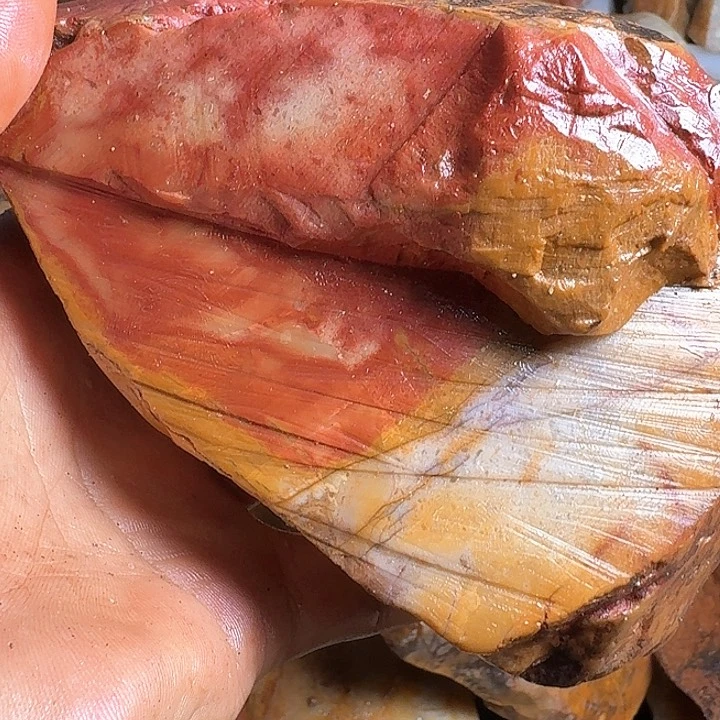 上***室寿山石寿山石的种类