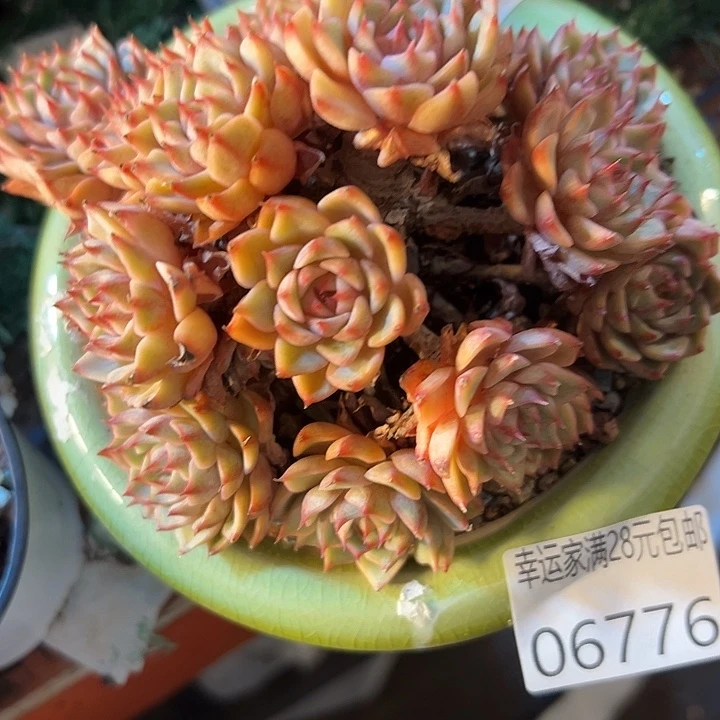 幸运的是我还 幸运的是我还