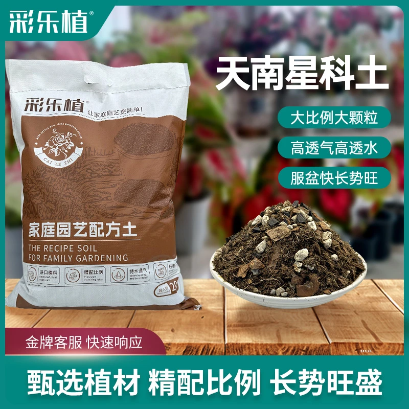 彩乐植天南星科热植专用土龟背竹彩叶芋种球秋海棠透水透气土壤