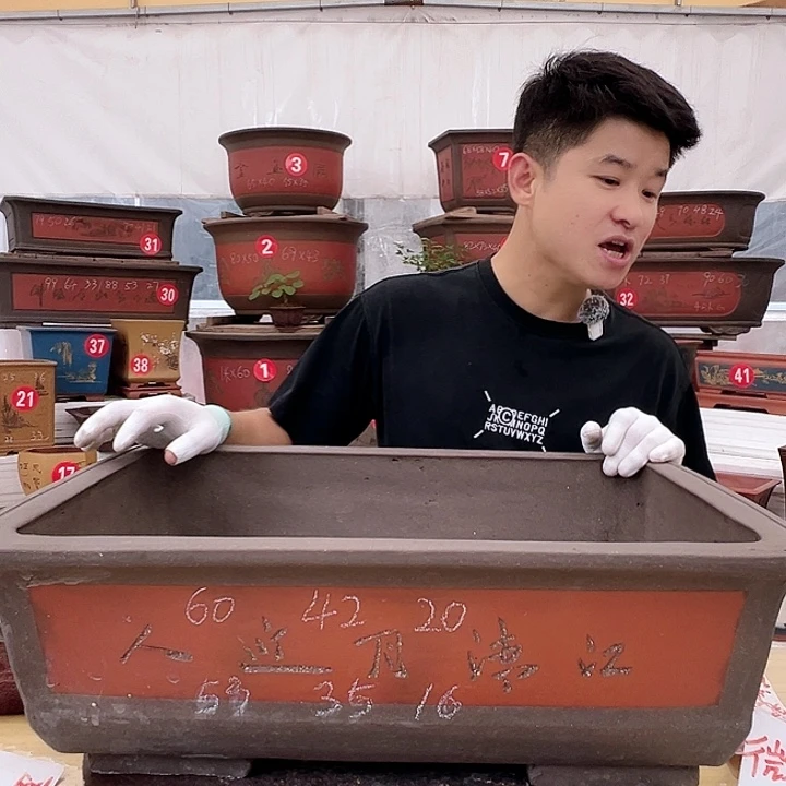 紫砂花盆工厂直发