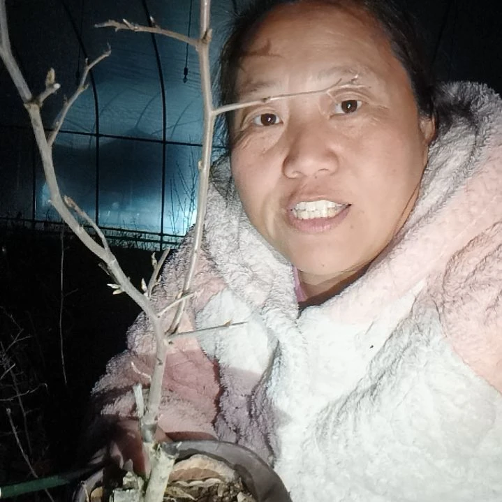 铜***鈴无花朵1523336636