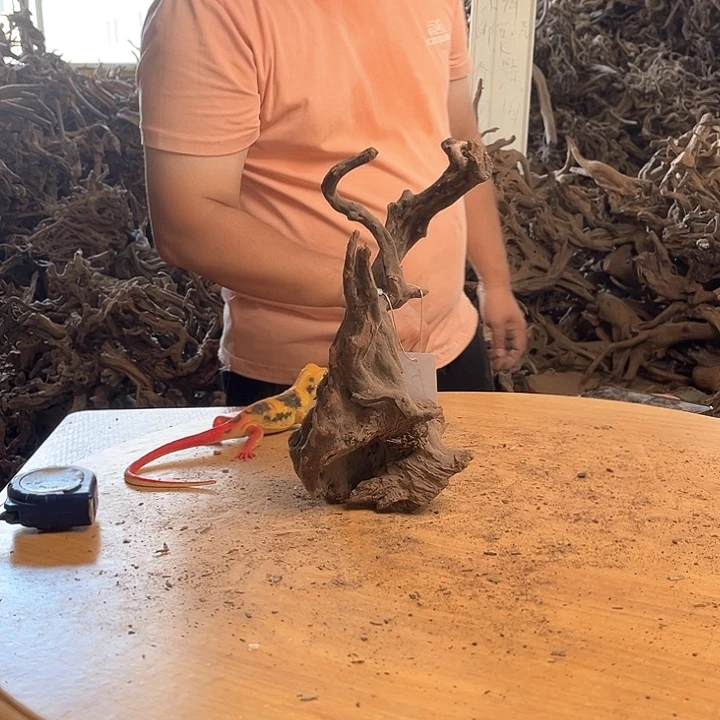 木202030 鱼缸造景根雕艺术123