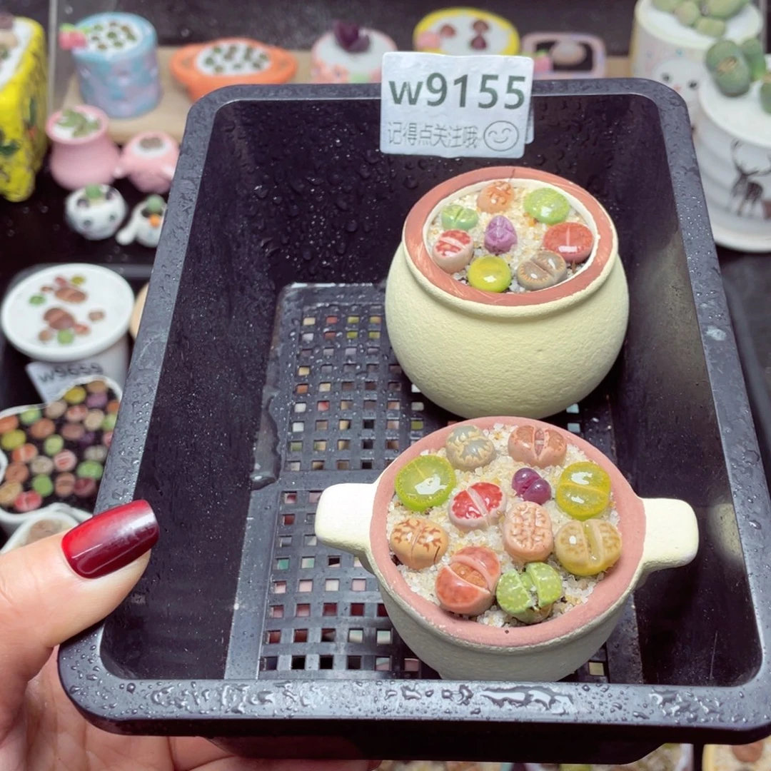 w9155锅锅系列 一份两盆量拍