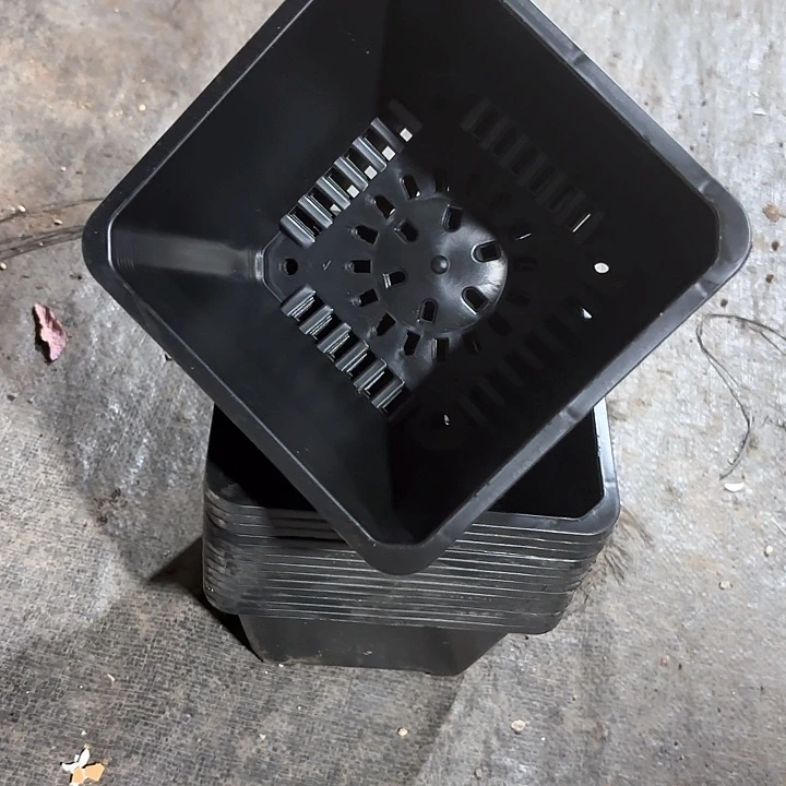 15公分黑方盆12个