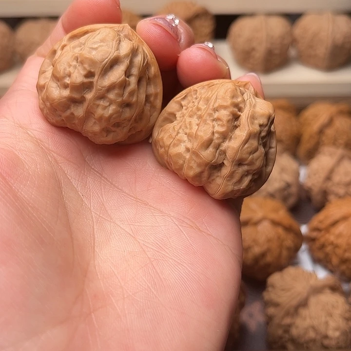 核桃34三角蛙福利对