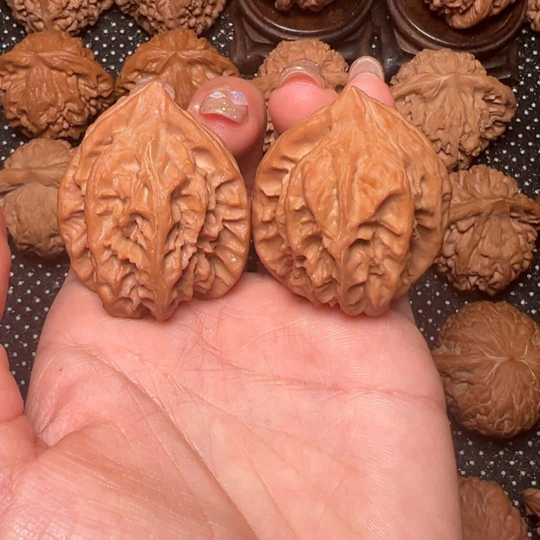 绒***儿曹大龙，全品，边36，，，