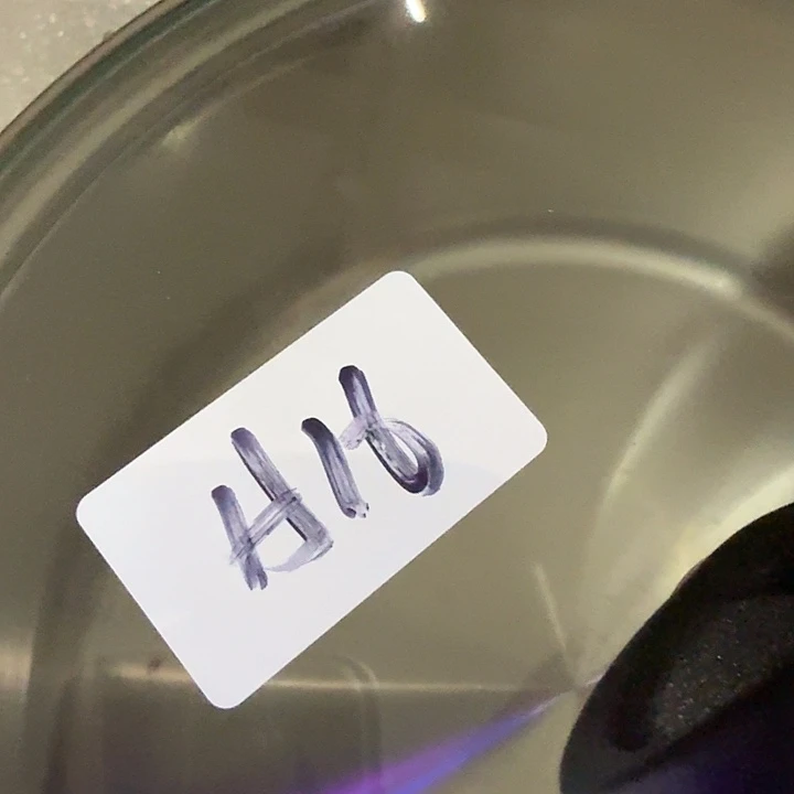 白瓷A16   小牛套装 双耳汤guo22cm