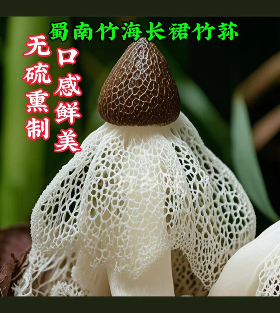 【尝鲜装】新鲜竹荪干货无硫四川宜宾特产长裙竹笙竹荪虫草煲汤炖汤