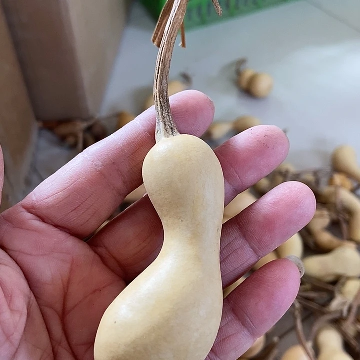 d h b x j s j s n x b x s