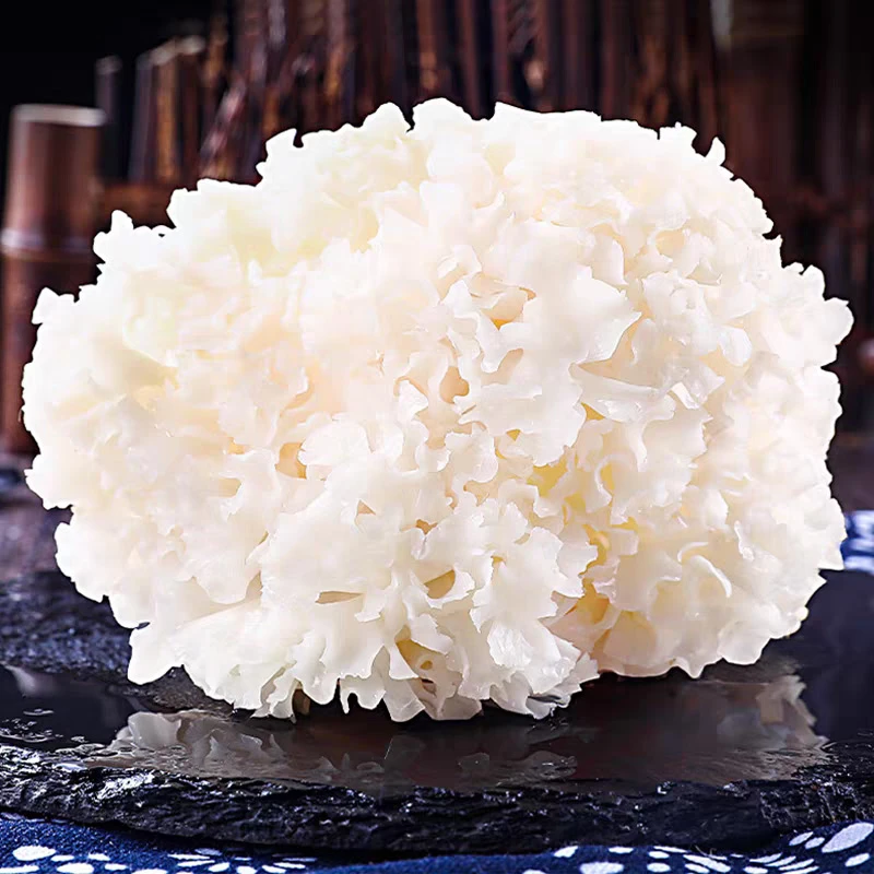 【田园音符】福建古田新鲜绣球菌 1斤/2斤 新鲜采摘