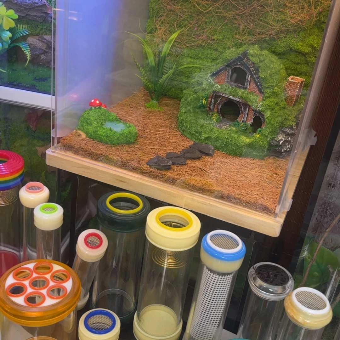 穿***0补差实木生态箱拍拍拍拍