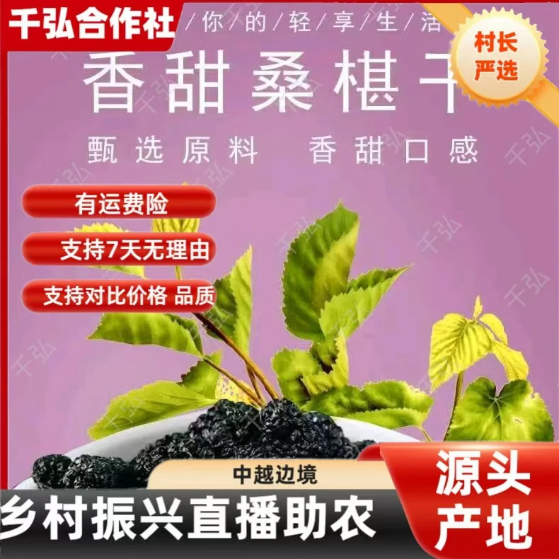 【村长严选】源自农家【桑葚干】16