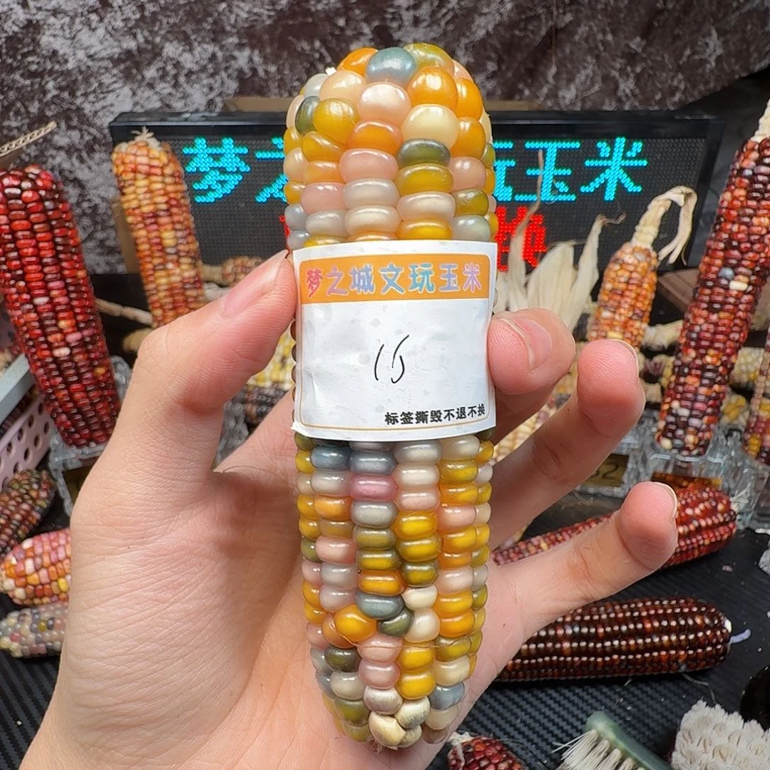 彤***^大叶紫檀（黑酸枝木类）