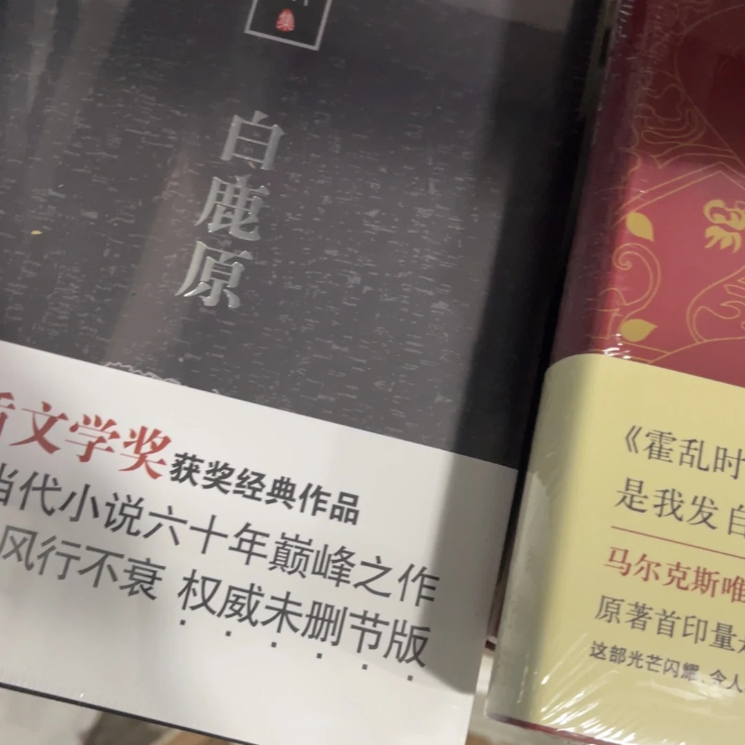 白鹿原精装一个人