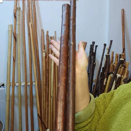 你***爷秦岭石山红荀子，牛筋木