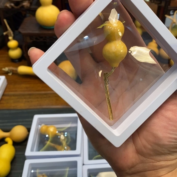 八宝葫芦八宝葫芦