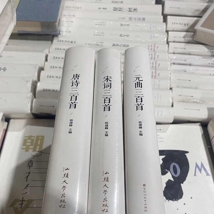 正版全新唐诗宋词原曲