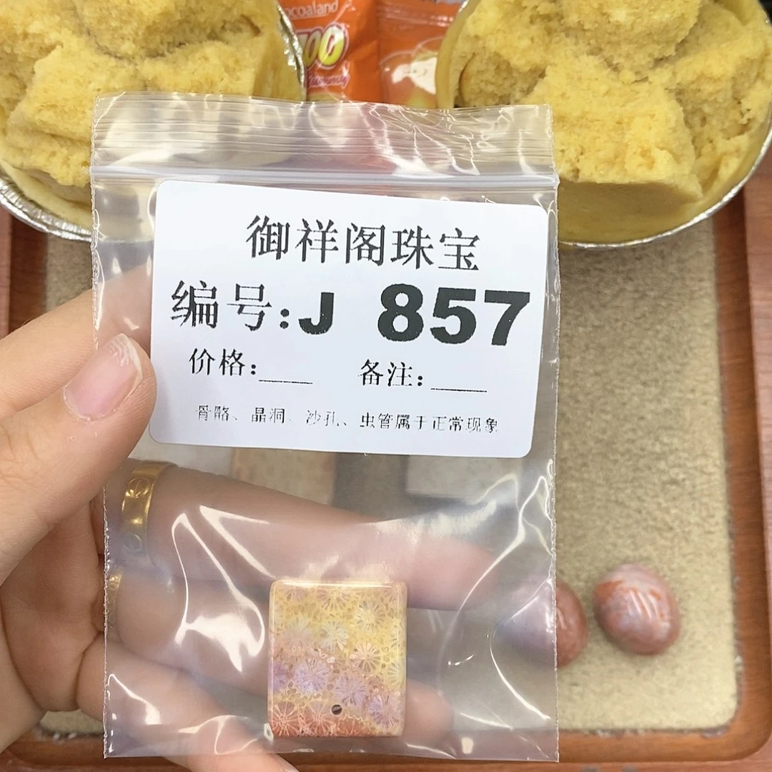 硅化珊瑚（珊瑚玉）颈饰未镶嵌玖*