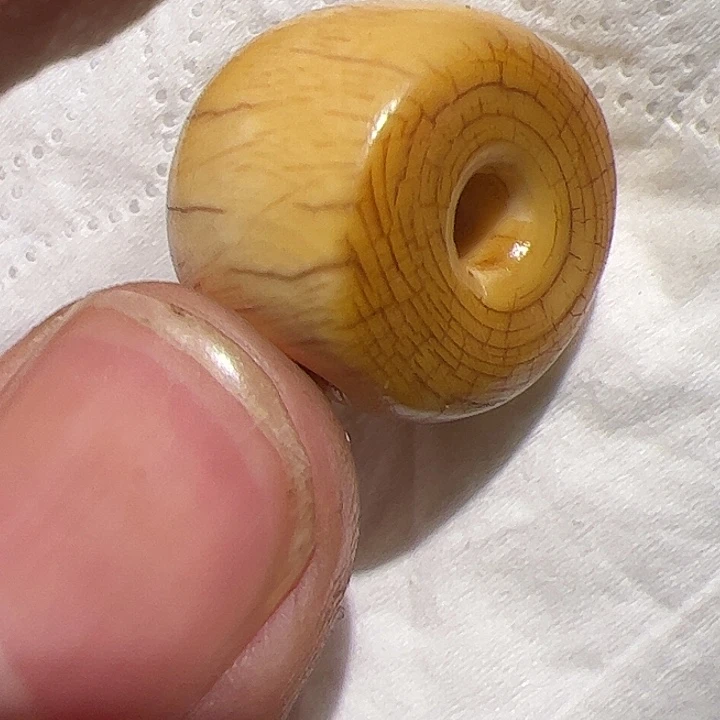 香榧木你的时候你是