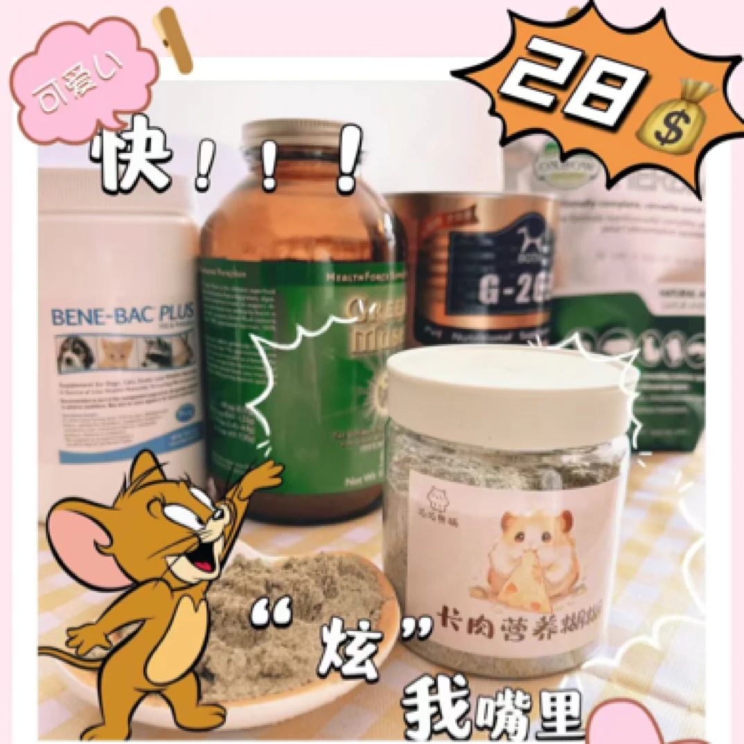 金丝熊全阶段长肉糊糊