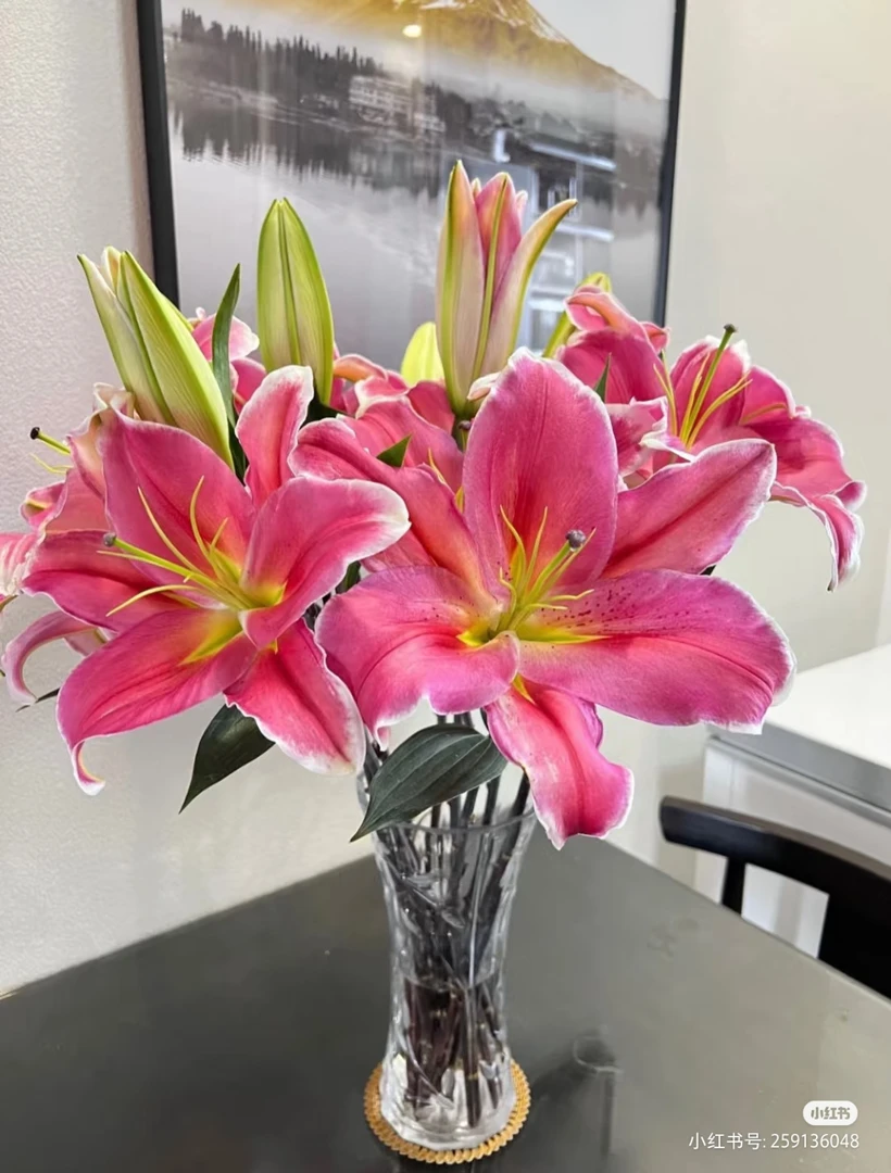 粉百合包邮云南昆明直发