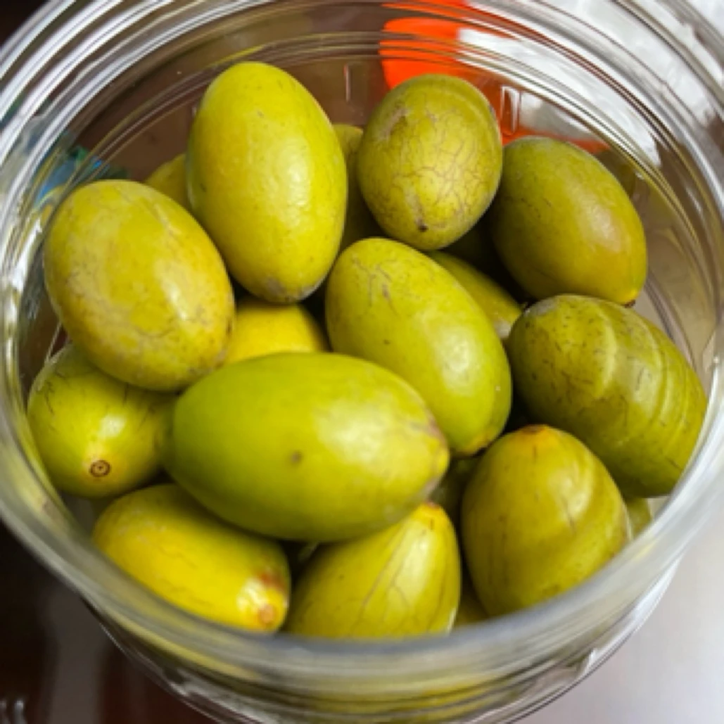 潮汕归湖镇棱丰橄榄