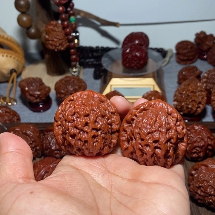 ****鱼核桃金公子1111111111