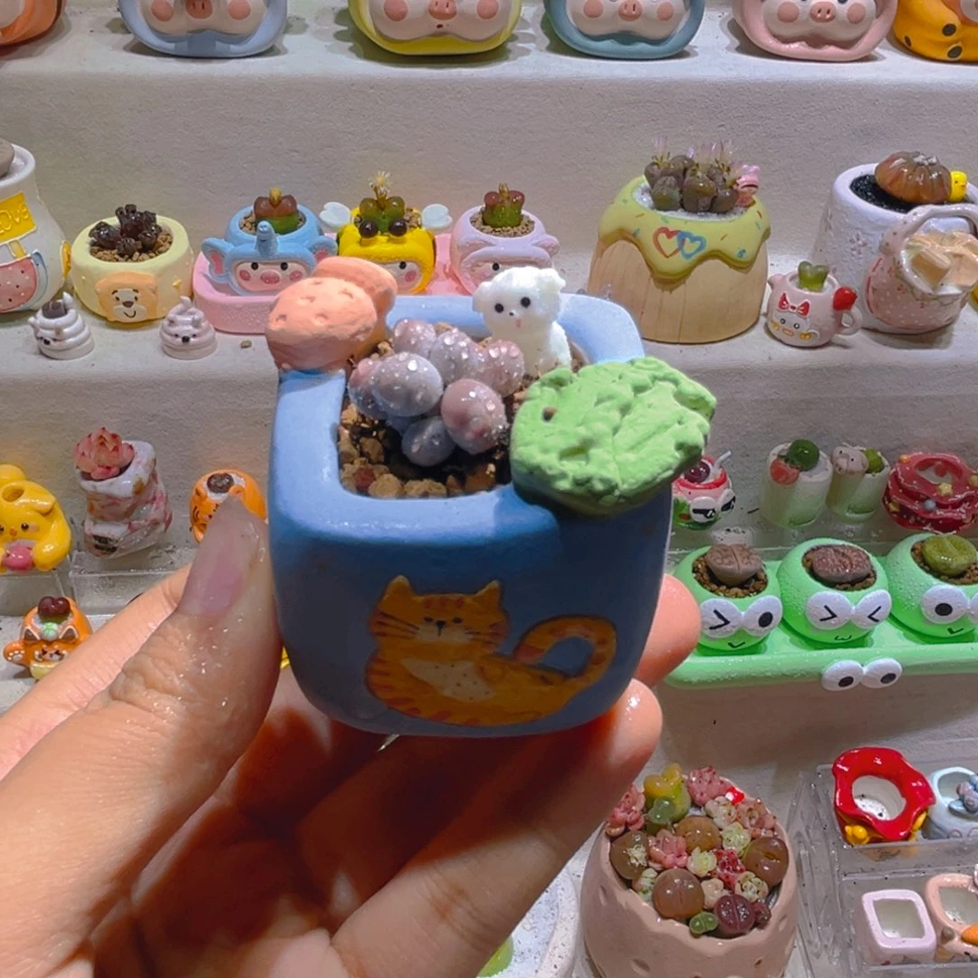 027苹果奶酪带盆土一套39