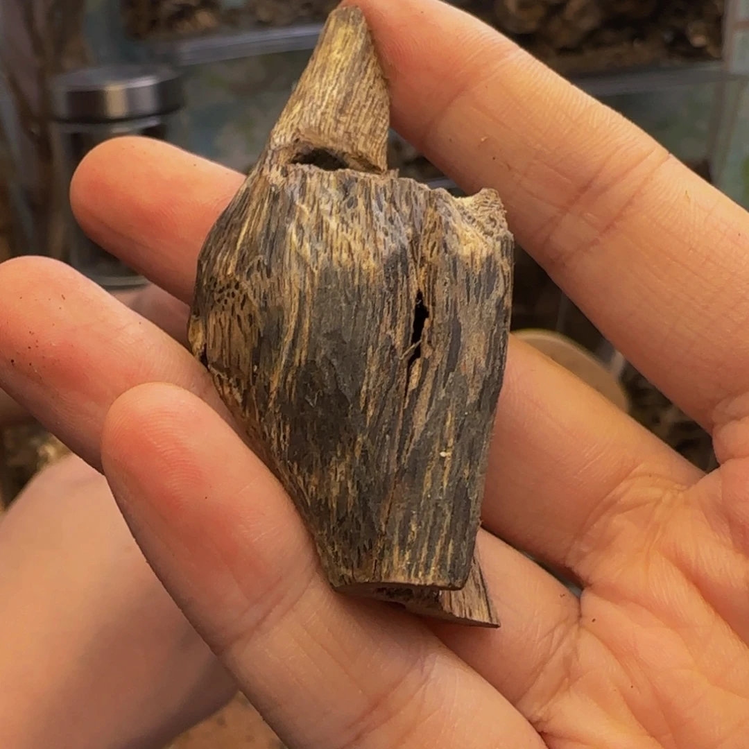 沉香碎屑沉香9.9克85