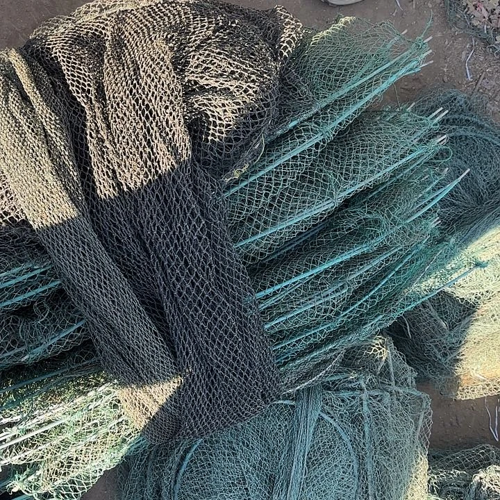 梦***～螃蟹4811828828228