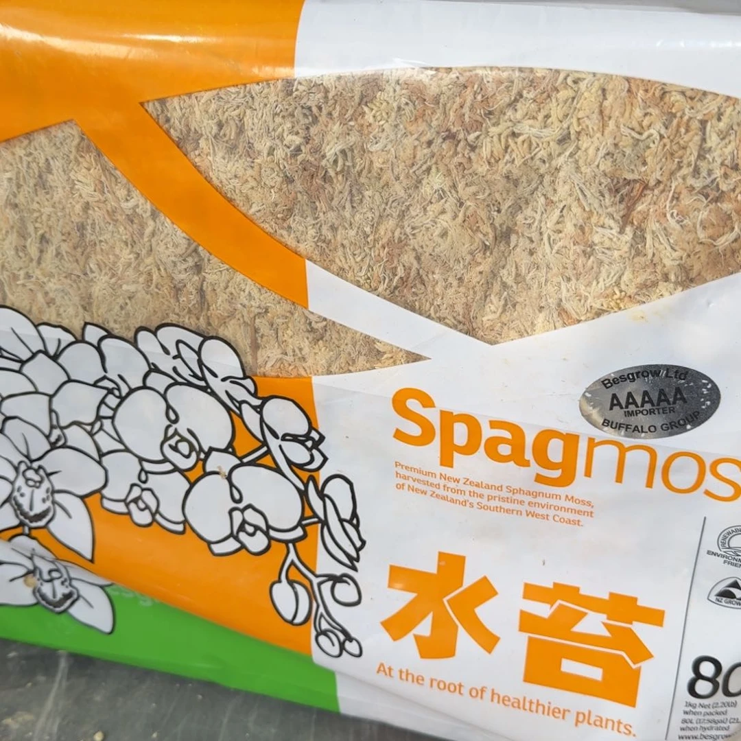 盆景無*盆景盆景紫园水苔1千克