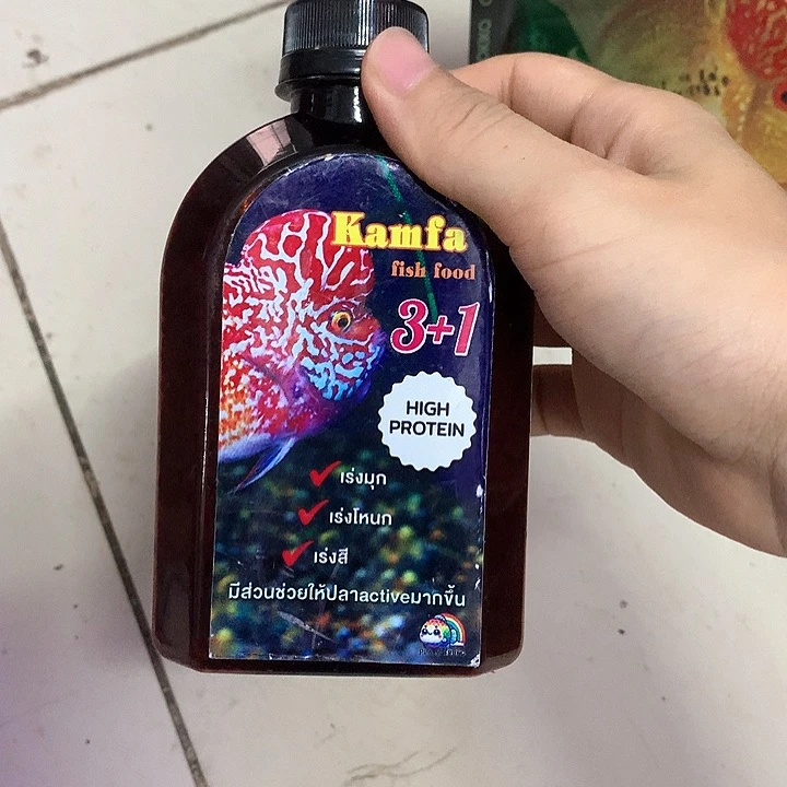 罗汉鱼三合一料888888888