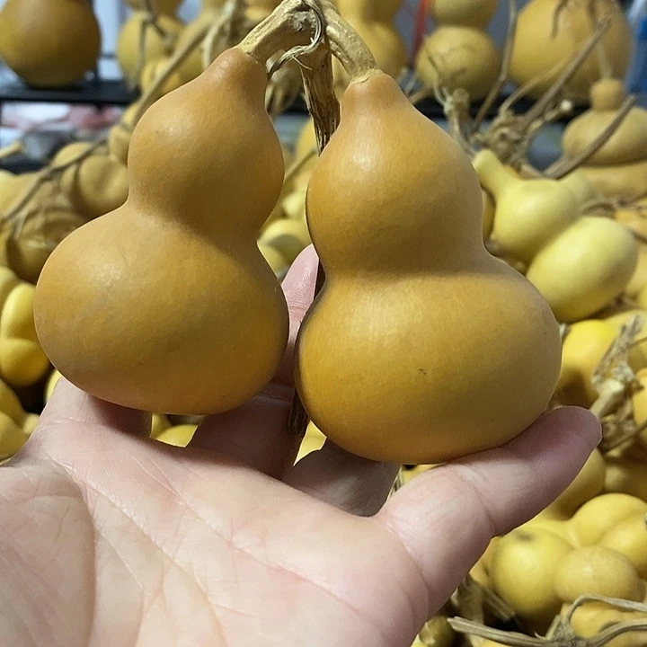 葫芦的颜色是蓝色的