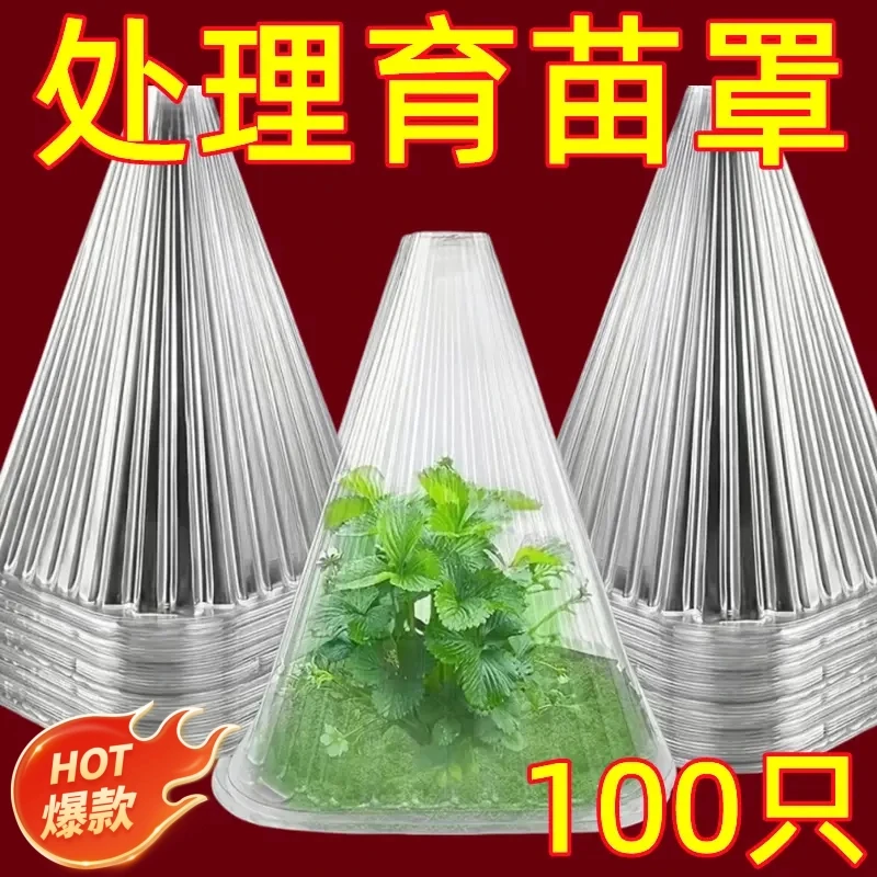 【100个】育苗罩重复使用加厚透明方形植物免受钟罩鸟类温室霜防冻