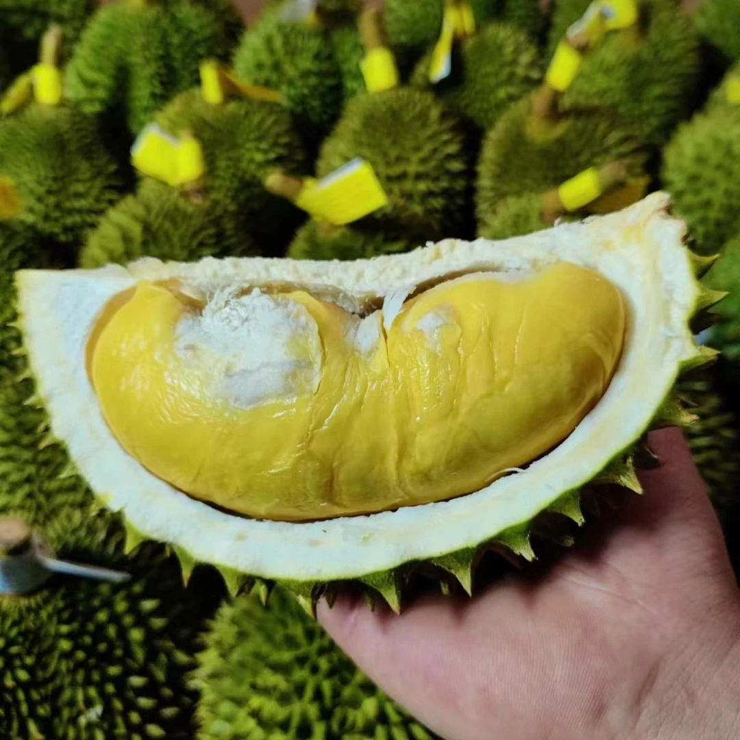 泰国青尼新鲜榴莲一个约1500g---3000g核小肉多榴莲同城送榴莲同城送榴莲同城送金枕泰国