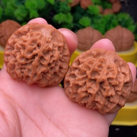 秦闷41精修1111111