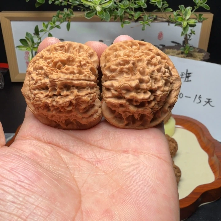 文玩核桃把件全品官帽48