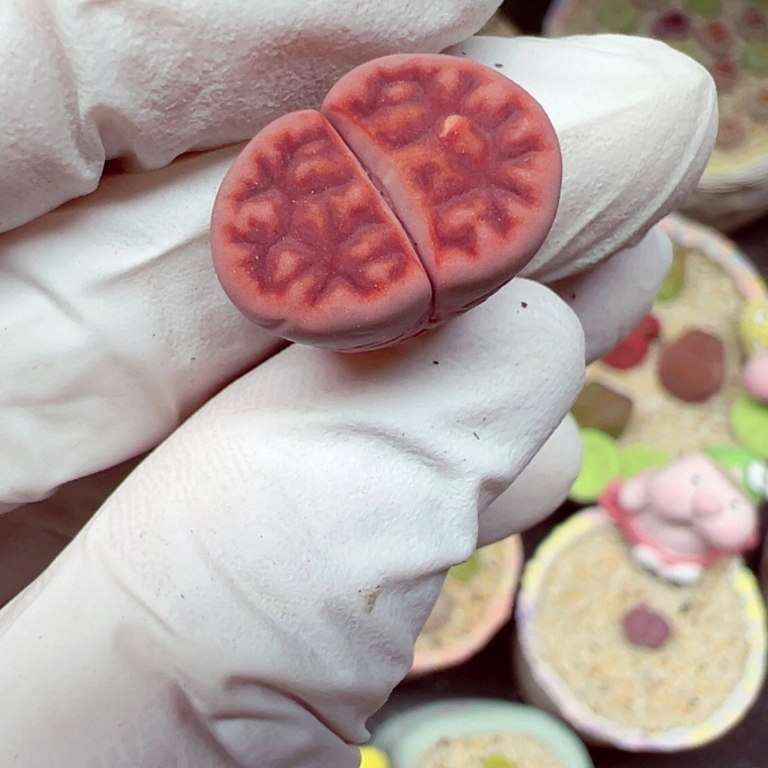 精致优秀的肉肉817-26